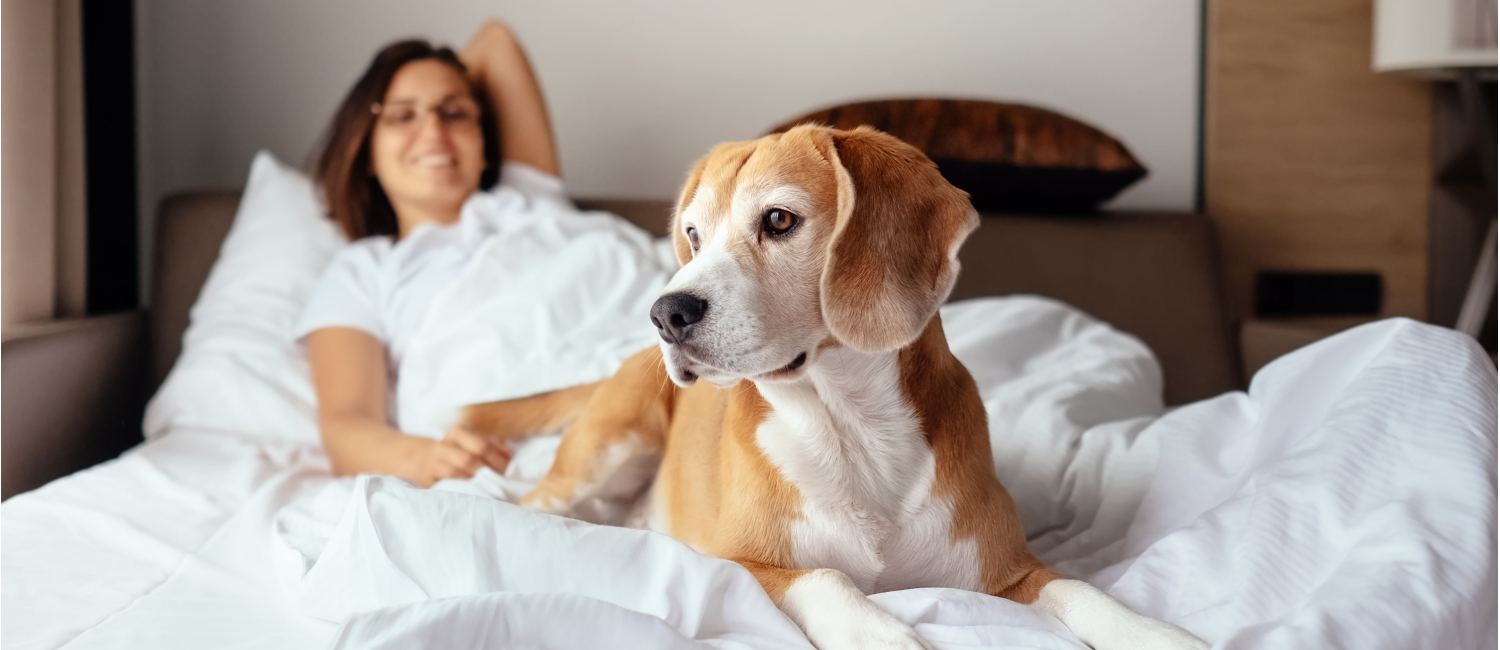 Bring Your Fur Babies Along - We're Pet Friendly!